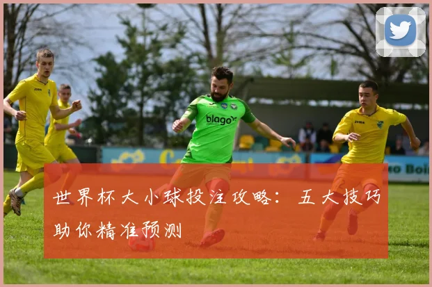 世界杯大小球投注攻略：五大技巧助你精准预测