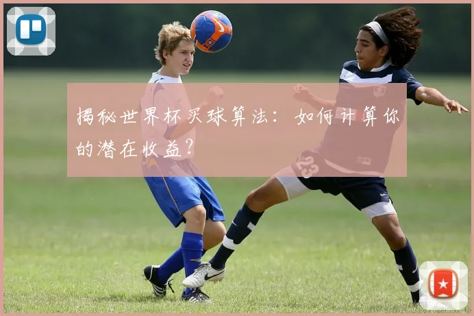 揭秘世界杯买球算法：如何计算你的潜在收益？