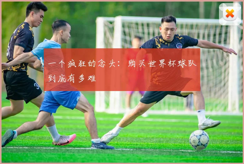 一个疯狂的念头：购买世界杯球队到底有多难