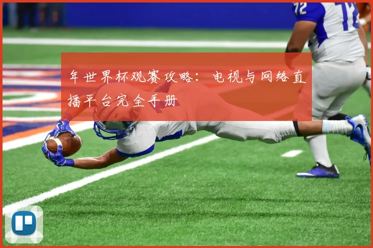 年世界杯观赛攻略：电视与网络直播平台完全手册