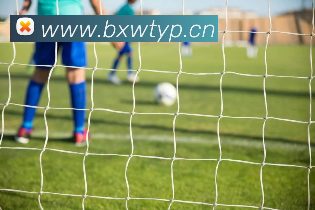 mksports官方网站平台生态图